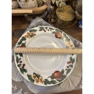 Cades Cove WSP Stoneware Apple Orchard Dinner and Salad Plates Set of 4